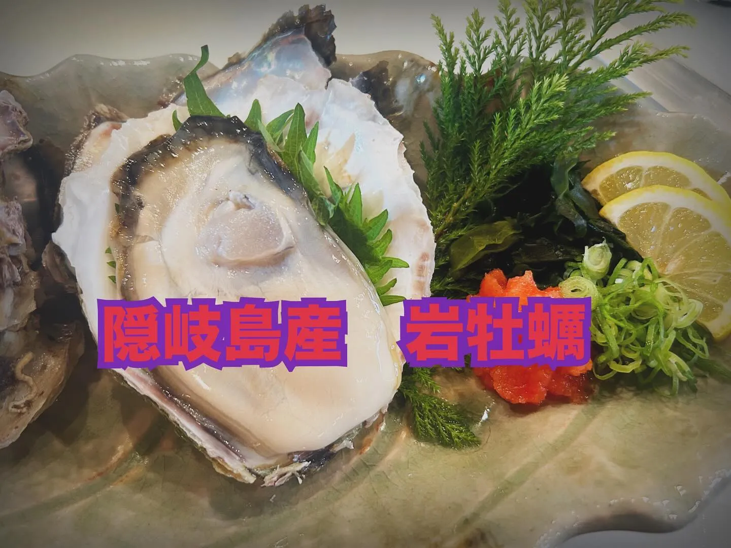 清海🌊　隠岐島産岩牡蠣‼️